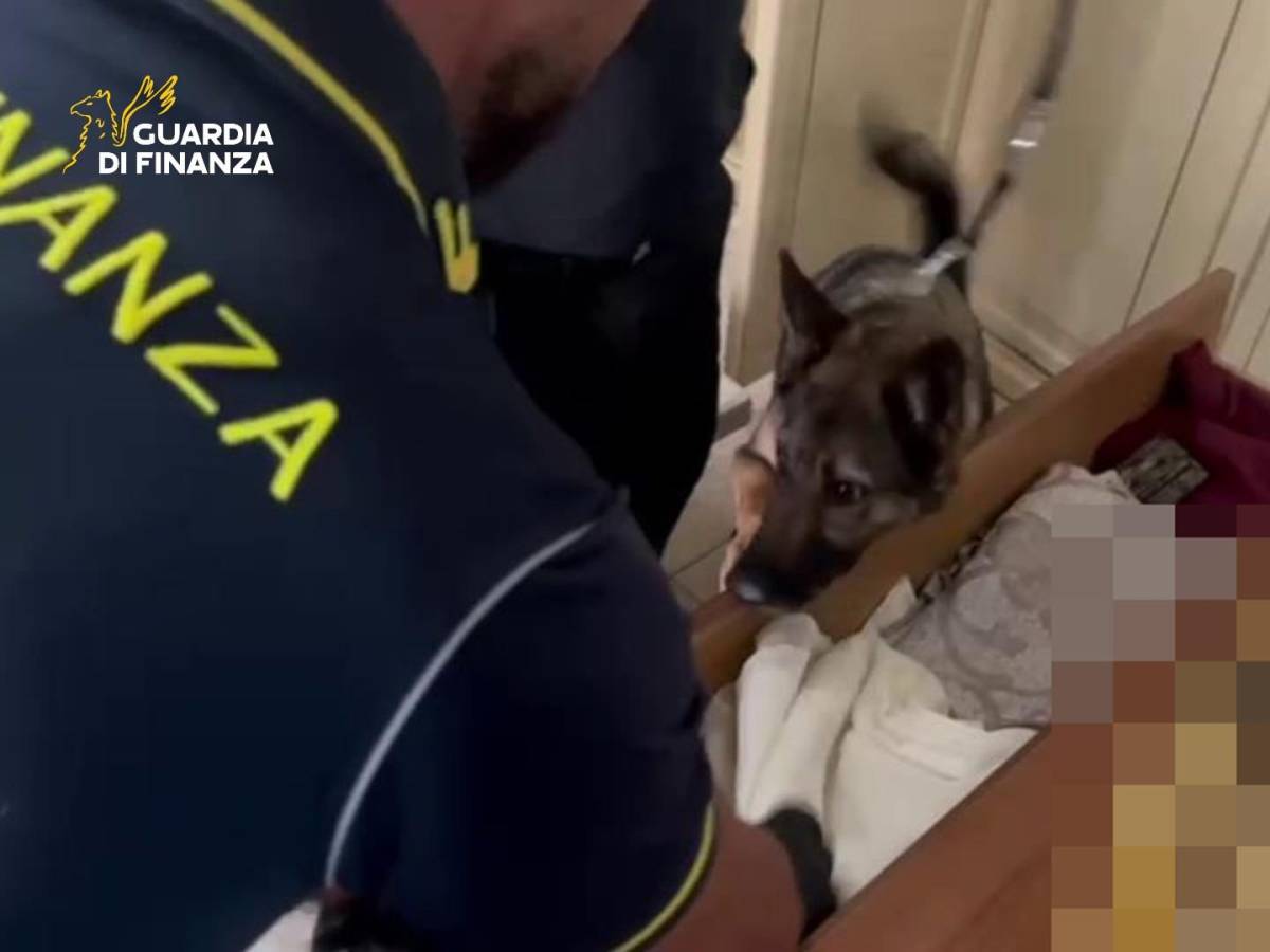 i rider della cocaina con zainetto e bici elettrica sgominata la drug delivery alla palermitana