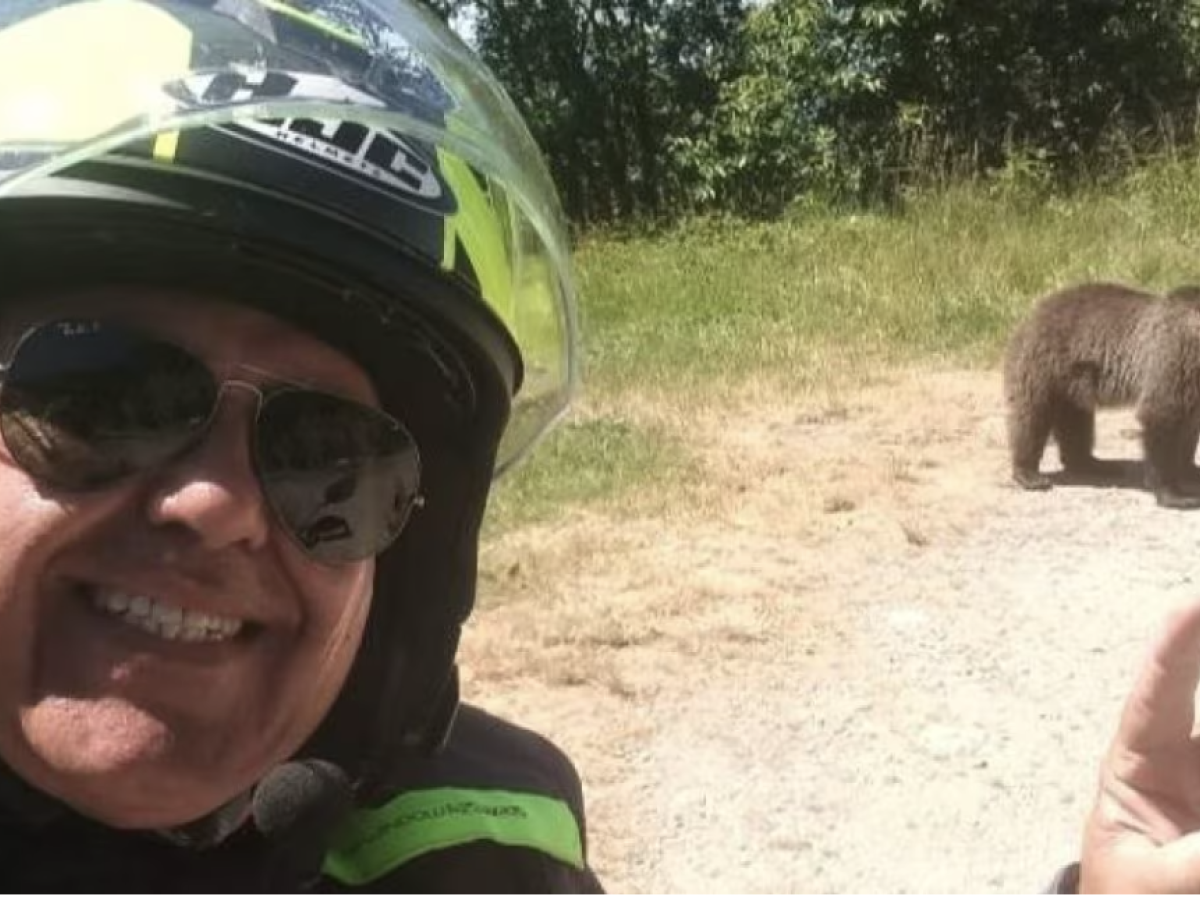 chi era omar farang zin il motociclista italiano ucciso da un8217orsa in romania