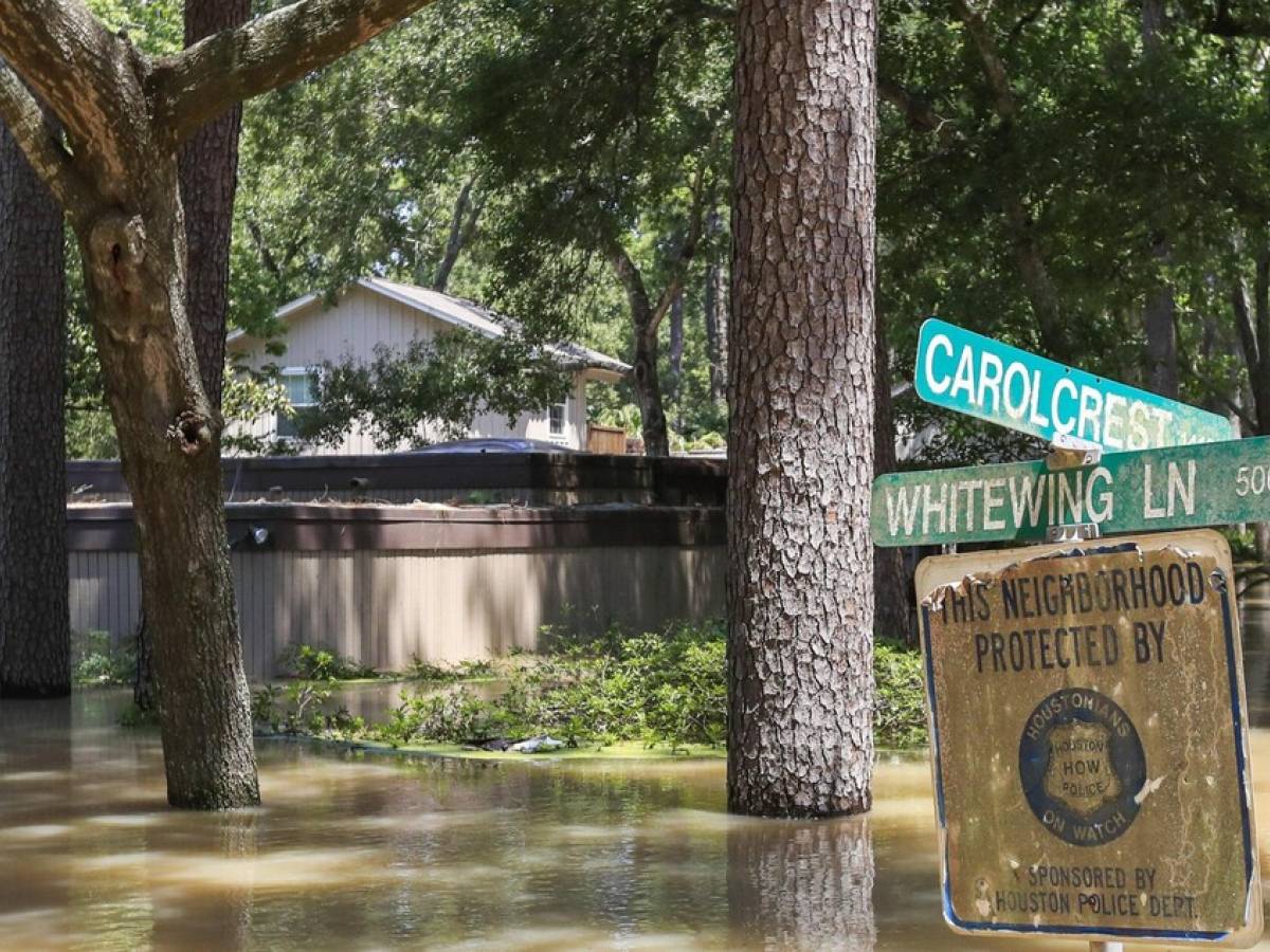 Campi scout investiti dal fiume in piena in Texas: almeno 24 morti, 25 ragazze tra i dispersi Campi scout investiti dal fiume in piena in Texas: almeno 24 morti, 25 ragazze tra i dispersi