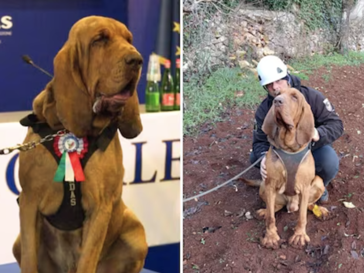 "So chi ha ucciso Bruno". Parla l "So chi ha ucciso Bruno". Parla l