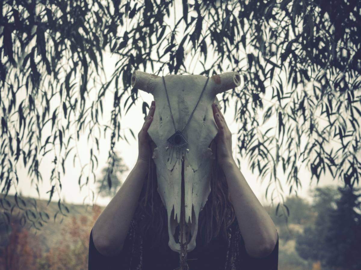 le bestie di satana a garlasco vi dico come stanno davvero le cose