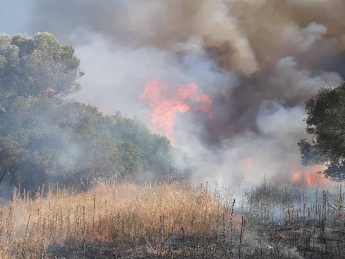Violento incendio vicino dell Violento incendio vicino dell