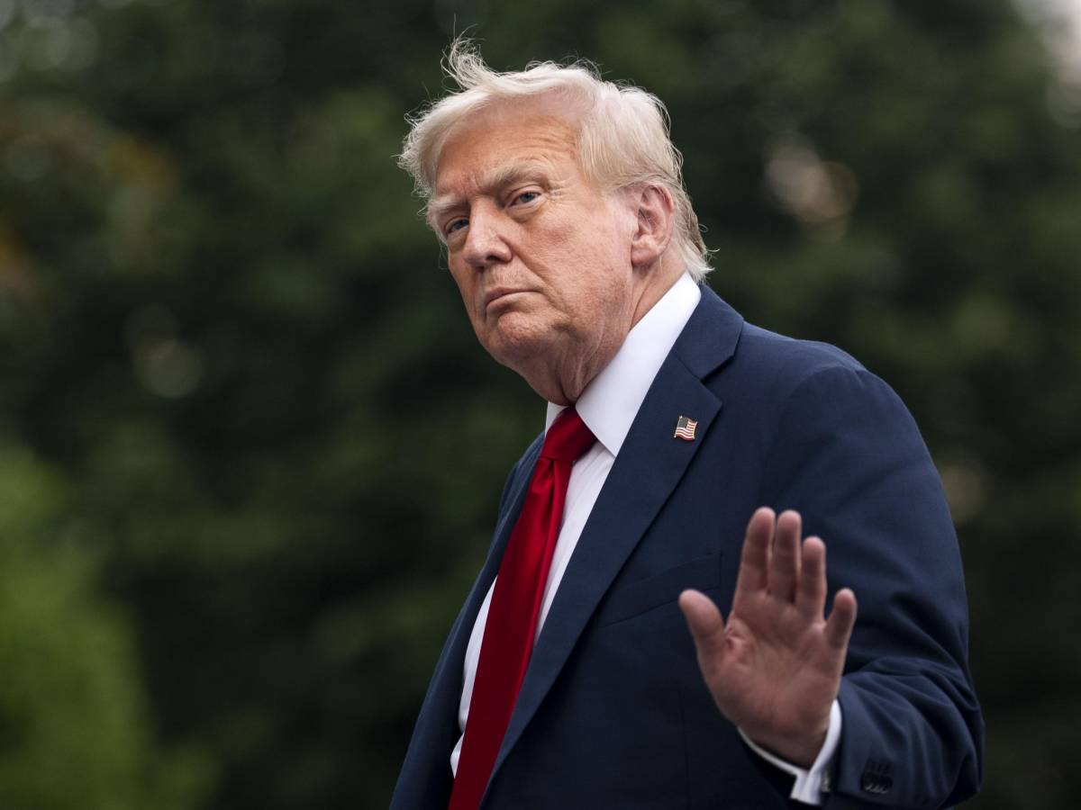 DeWalt DW2212IR6 No. 2 Quadrato 5,1 Cm Impact Ready Bit Tips, 6-pack - Foto 10