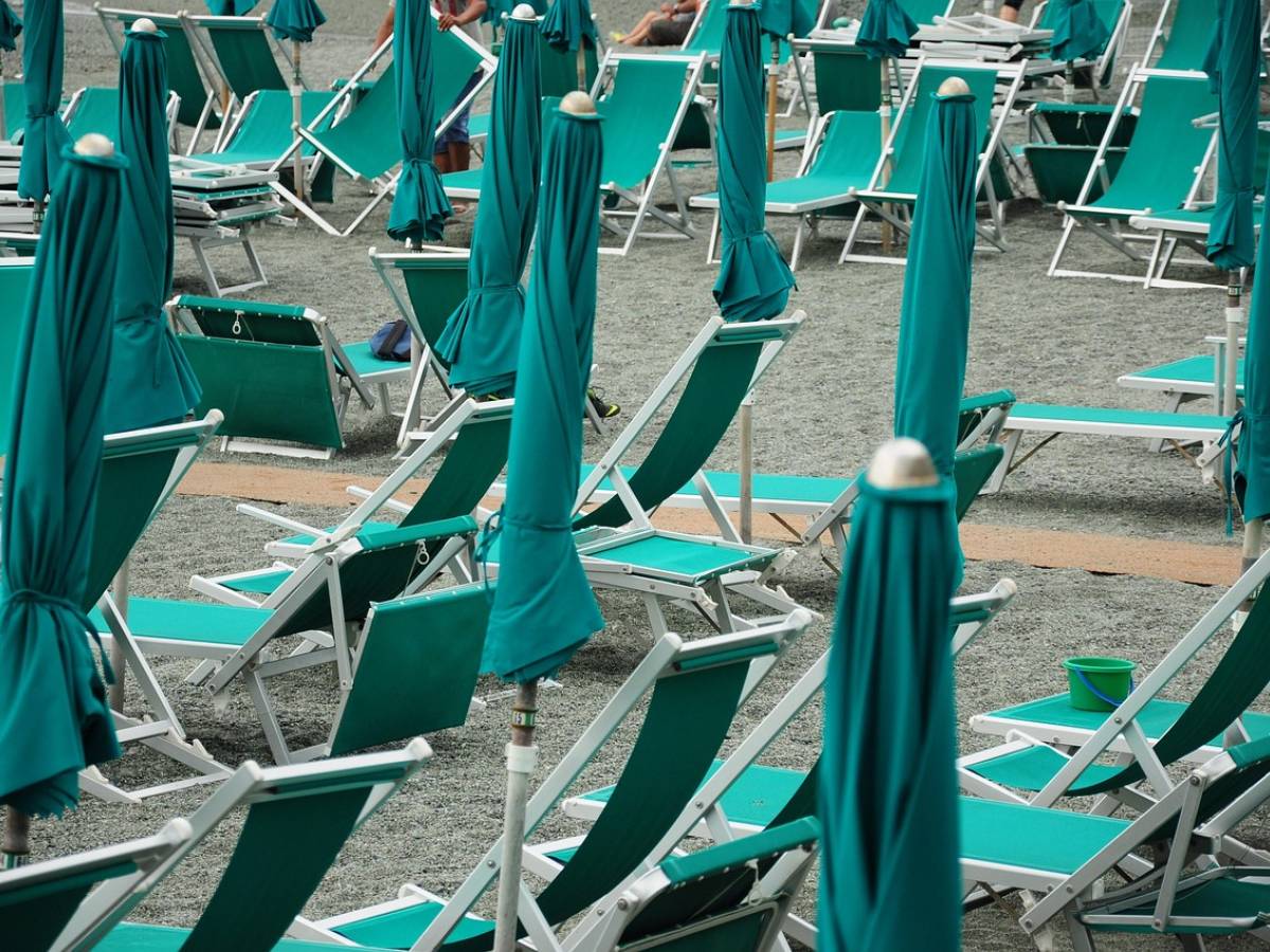Cani, cibo e giochi: cosa non si può fare in spiaggia Cani, cibo e giochi: cosa non si può fare in spiaggia