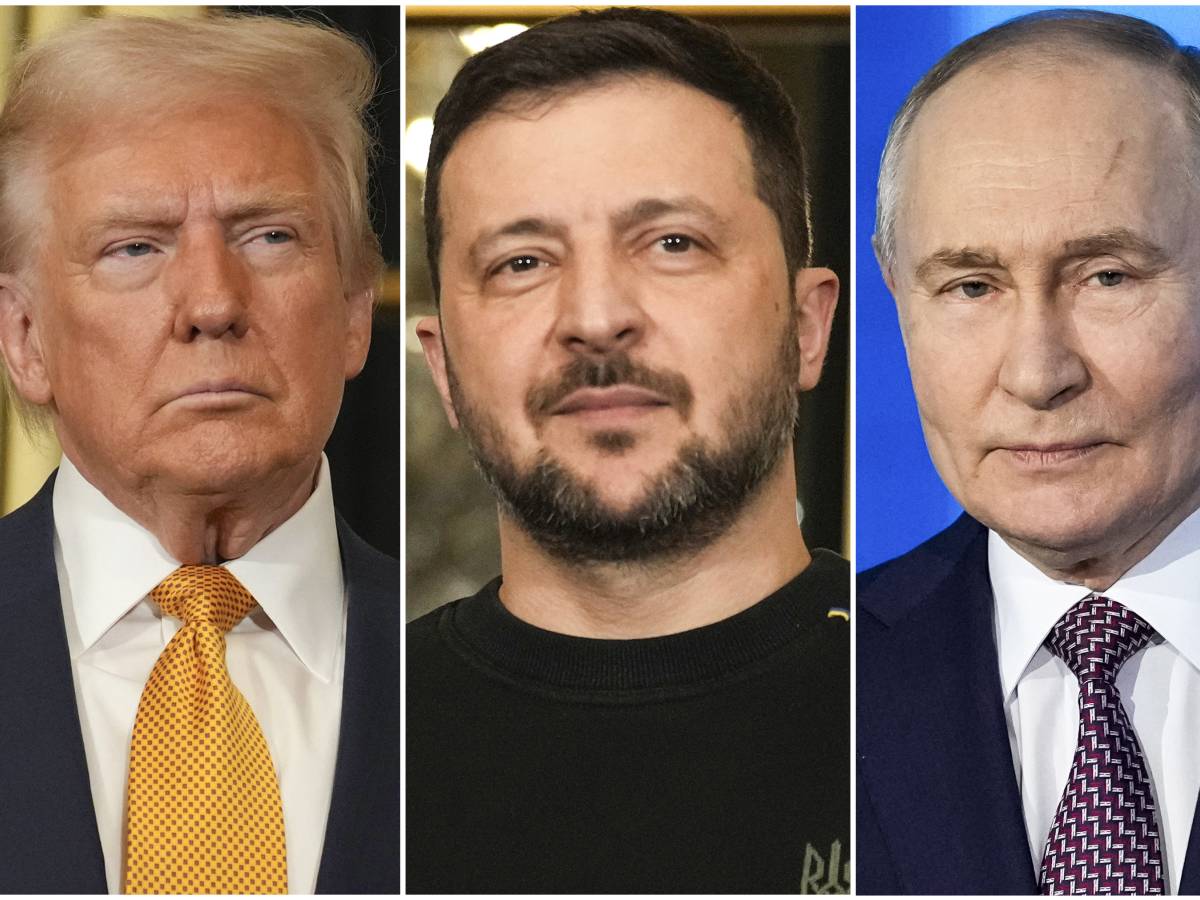 l apertura di putin ora negoziamo zelensky vediamoci trump bellissimo da Ilgiornale.it l apertura di putin ora negoziamo zelensky vediamoci trump bellissimo