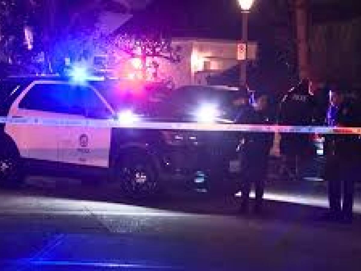 Auto sulla folla a Los Angeles, venti feriti Auto sulla folla a Los Angeles, venti feriti