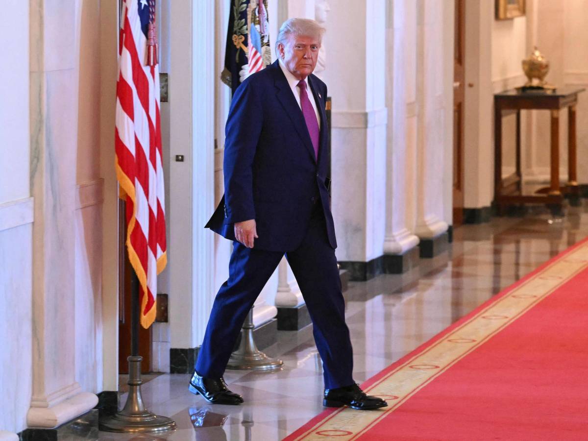Vertice a tre con Putin, Xi e Trump: cosa c Vertice a tre con Putin, Xi e Trump: cosa c