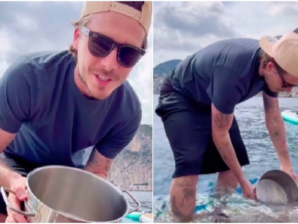 il trend salato bagnare friselle o cucinare con acqua di mare i rischi da non sottovalutare