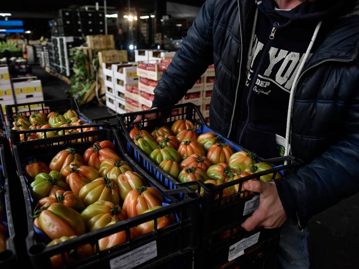 la regione limita il commercio abusivo ma per il presidente di circoscrizione pd 232 una legge ad minchiam da Ilgiornale.it la regione limita il commercio abusivo ma per il presidente di circoscrizione pd 232 una legge ad minchiam