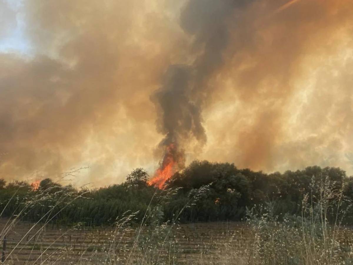 Incendio in un villaggio turistico del Crotonese: oltre 180 persone evacuate