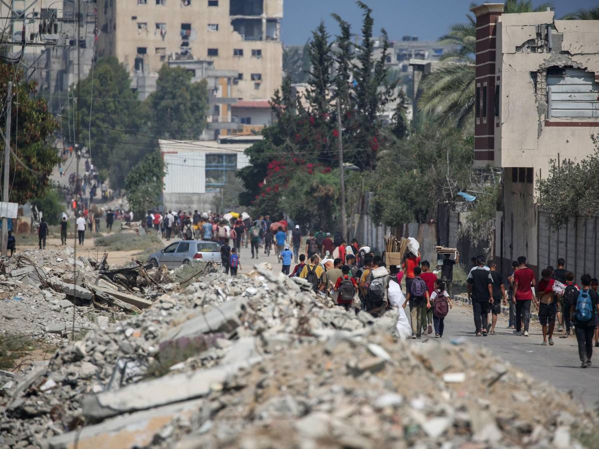 Svolta delle Idf a Gaza: "Tregua locale fino a nuovo avviso" Svolta delle Idf a Gaza: "Tregua locale fino a nuovo avviso"