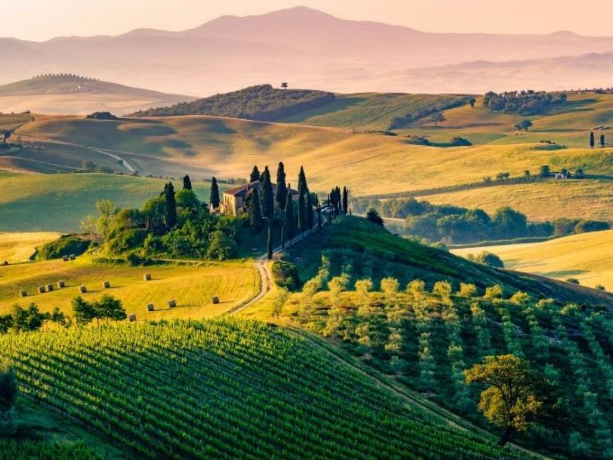 Turismo enogastronomico: un business in cerca di professionisti Turismo enogastronomico: un business in cerca di professionisti
