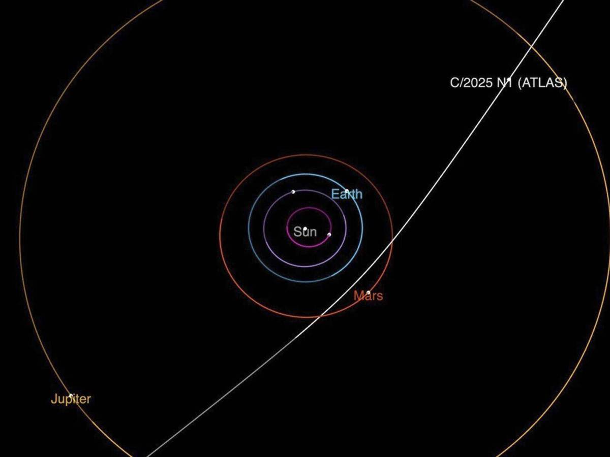 L’astronave aliena non ci salverà (né ci distruggerà): è solo la solita sindrome umana L’astronave aliena non ci salverà (né ci distruggerà): è solo la solita sindrome umana