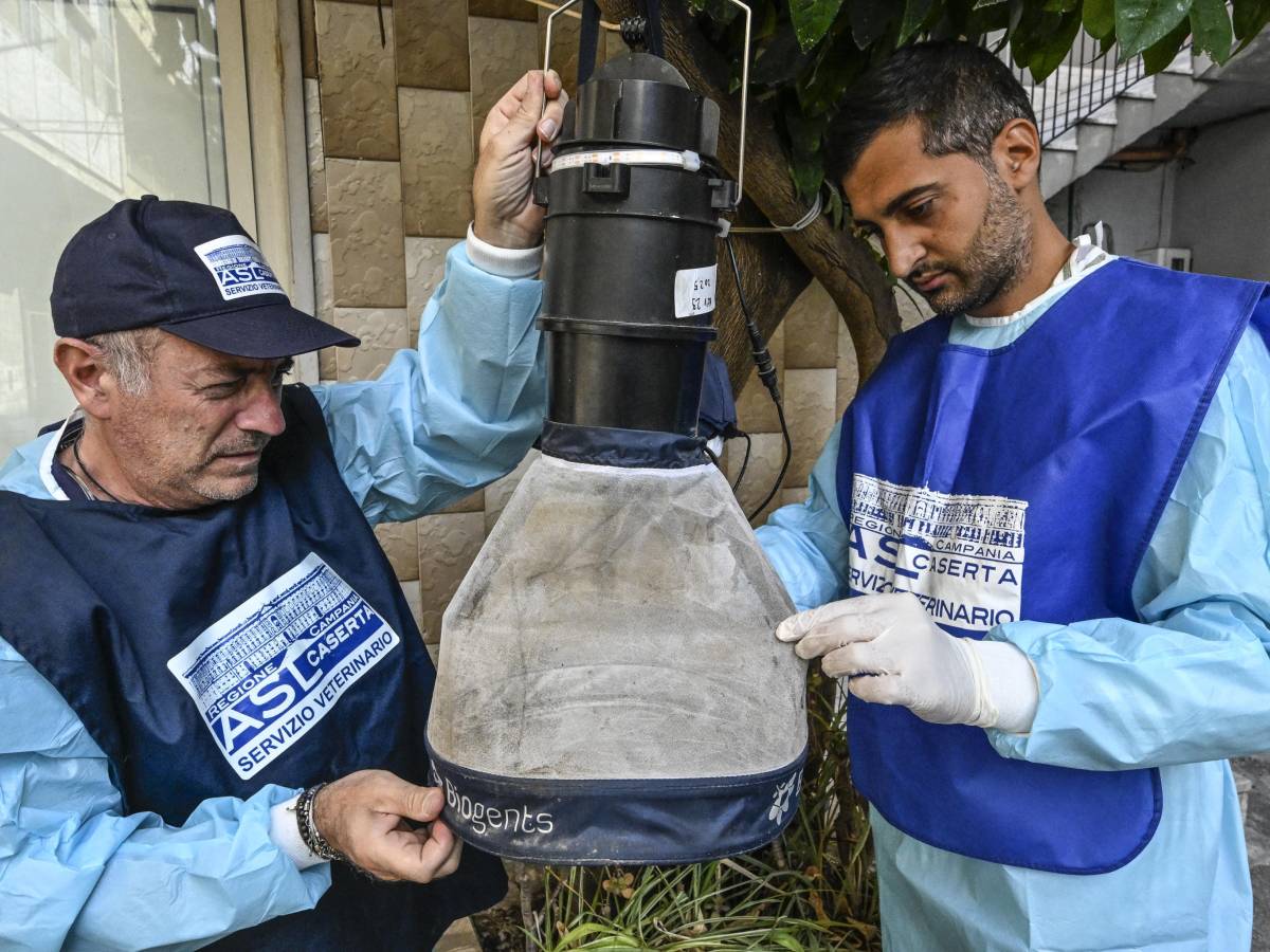 west nile salgono a 7 i morti in italia allarme in lazio e campania