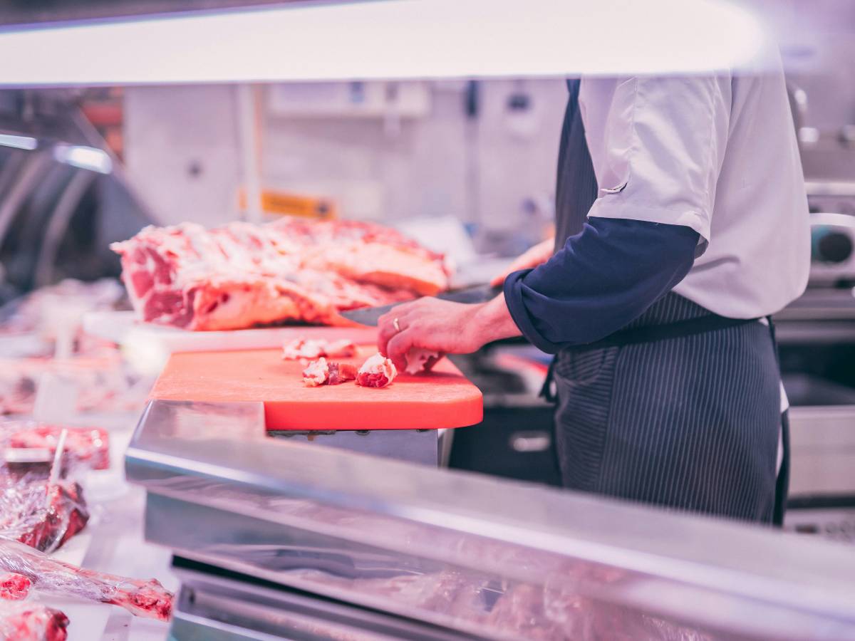 Bologna, anche gli animalisti contro la dieta halal nelle scuole Bologna, anche gli animalisti contro la dieta halal nelle scuole
