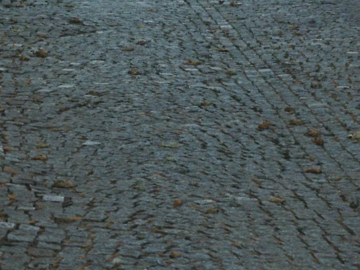 via torino ira commercianti l assessore niente ristori da Ilgiornale.it via torino ira commercianti l assessore niente ristori