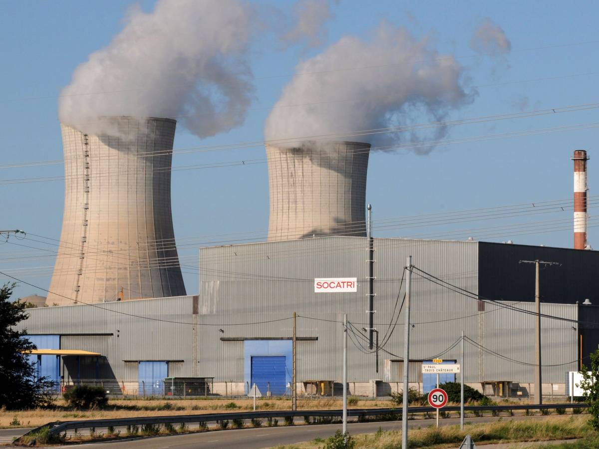 Invasione di meduse, allarme nella mega centrale nucleare francese: cosa è successo Invasione di meduse, allarme nella mega centrale nucleare francese: cosa è successo