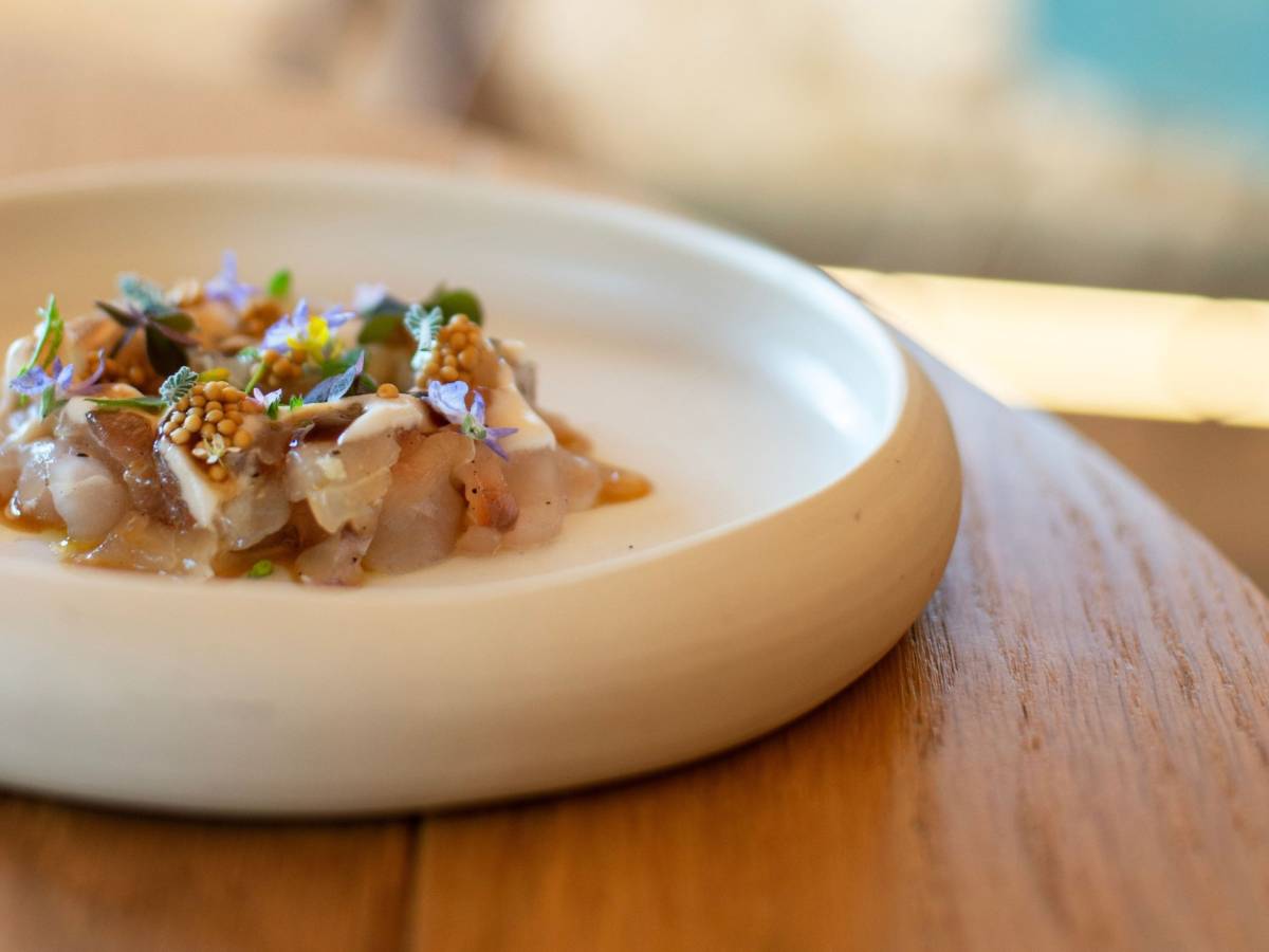 Radici, il Crudo di ombrina