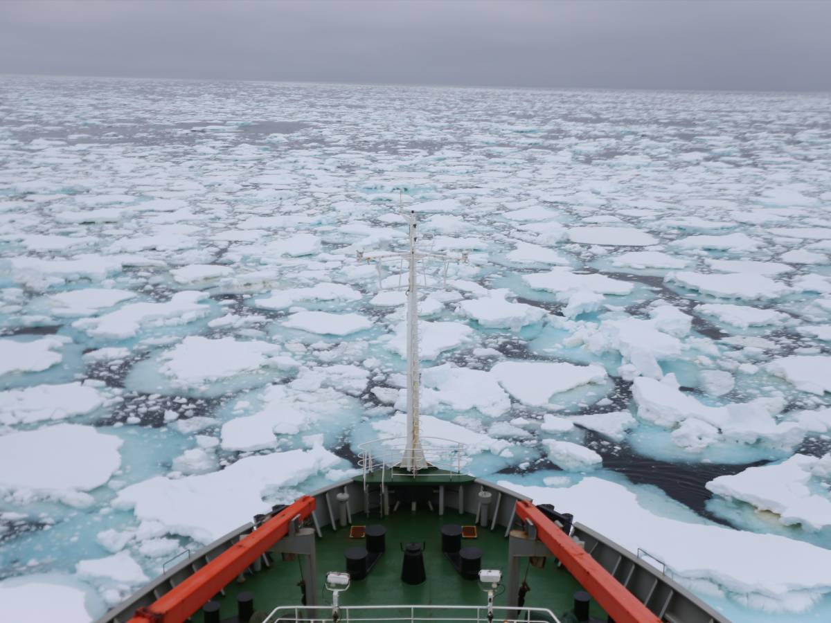 pechino muove cinque navi verso l alaska perch233 232 alta tensioni con gli usa
