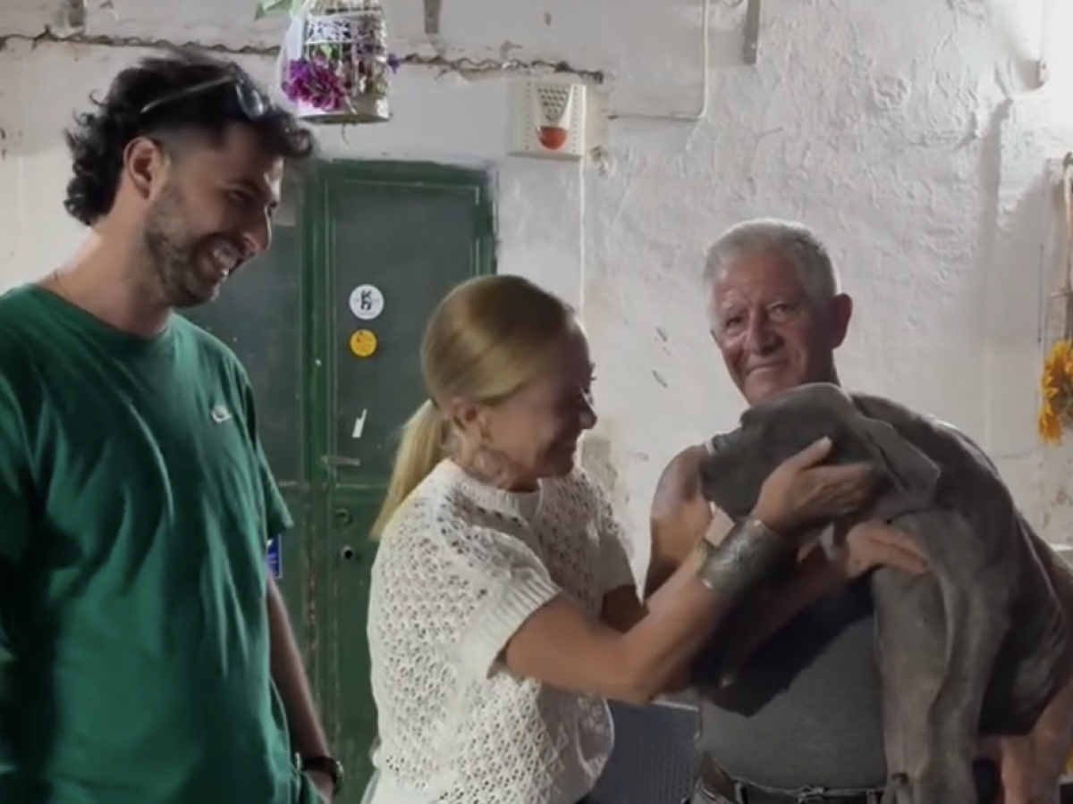 meloni in puglia visita a sorpresa a un allevamento di cani