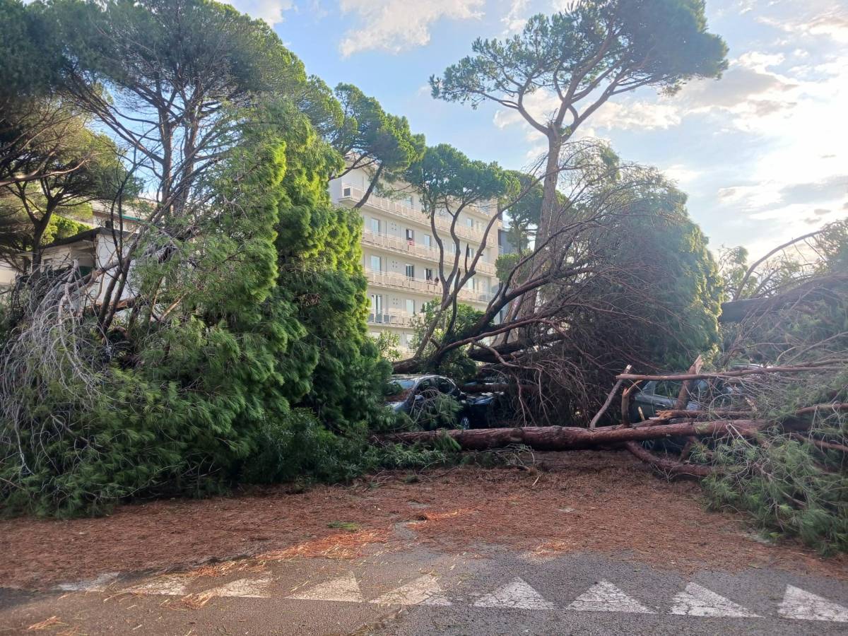 Maltempo, colpito anche il Papeete: "È stata una botta grossa" Maltempo, colpito anche il Papeete: "È stata una botta grossa"