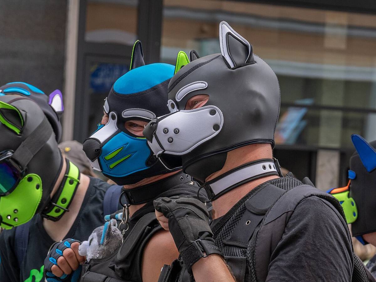 La maschera da "puppy player" e l La maschera da "puppy player" e l