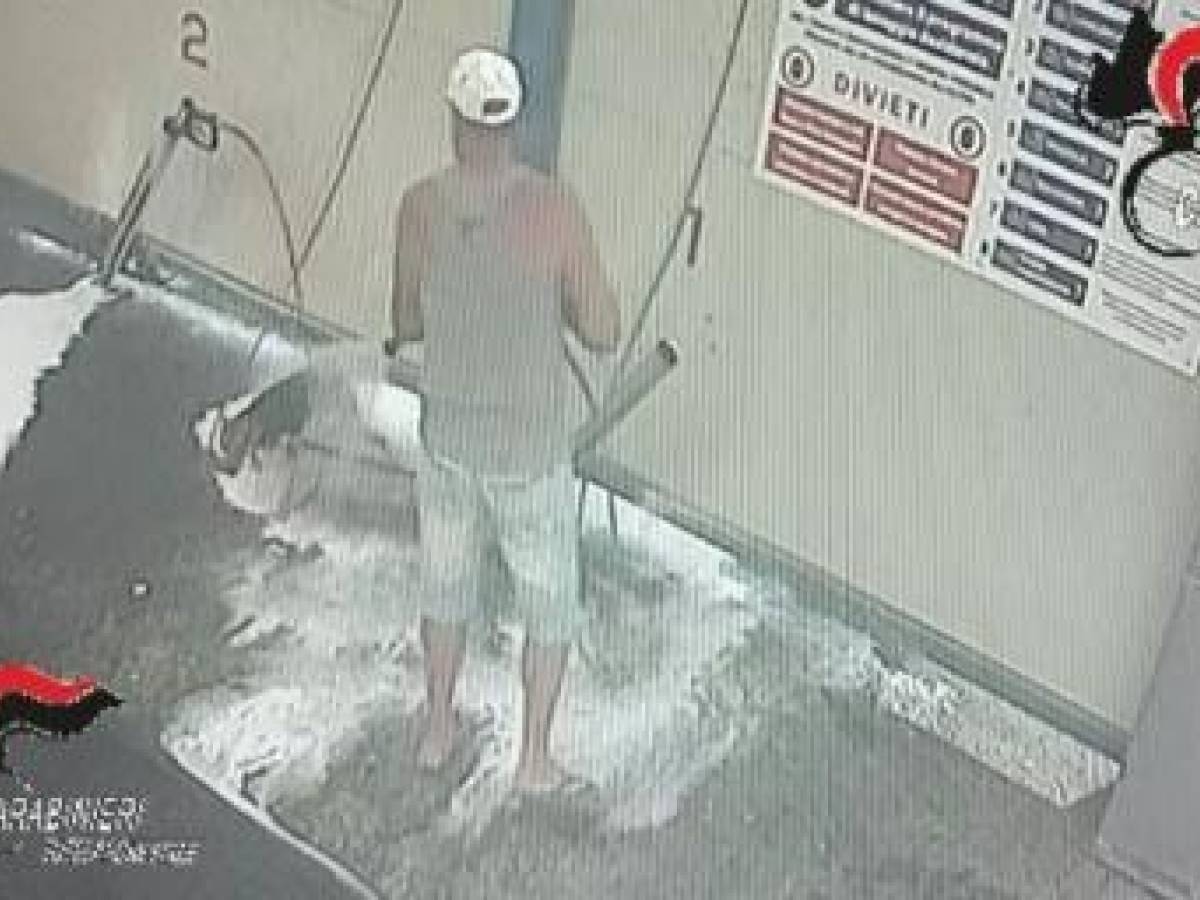 biella lava il cane nell8217autolavaggio 57enne denunciato per maltrattamento