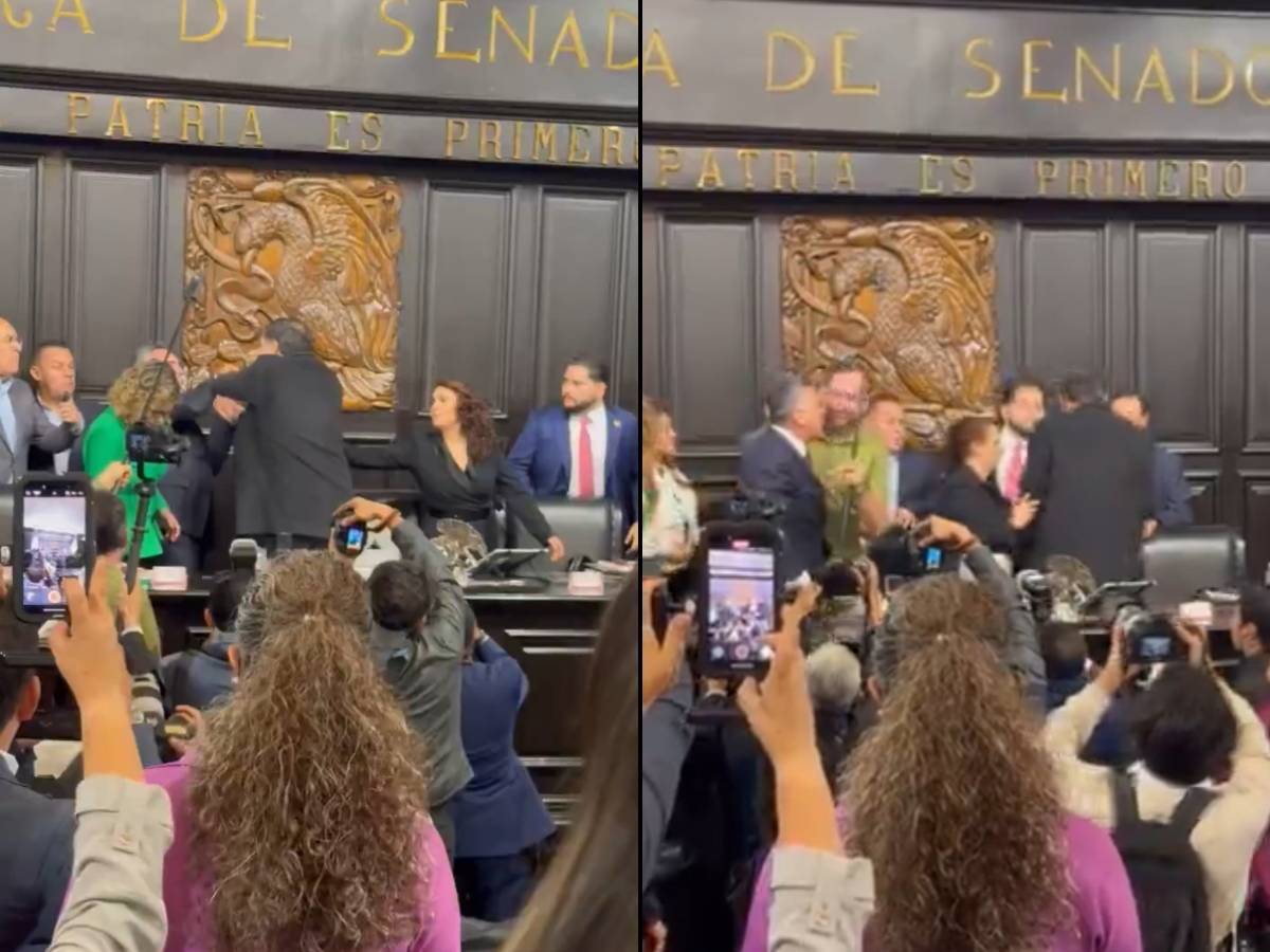 Messico, rissa furiosa in Senato: schiaffi, spintoni e minacce Messico, rissa furiosa in Senato: schiaffi, spintoni e minacce