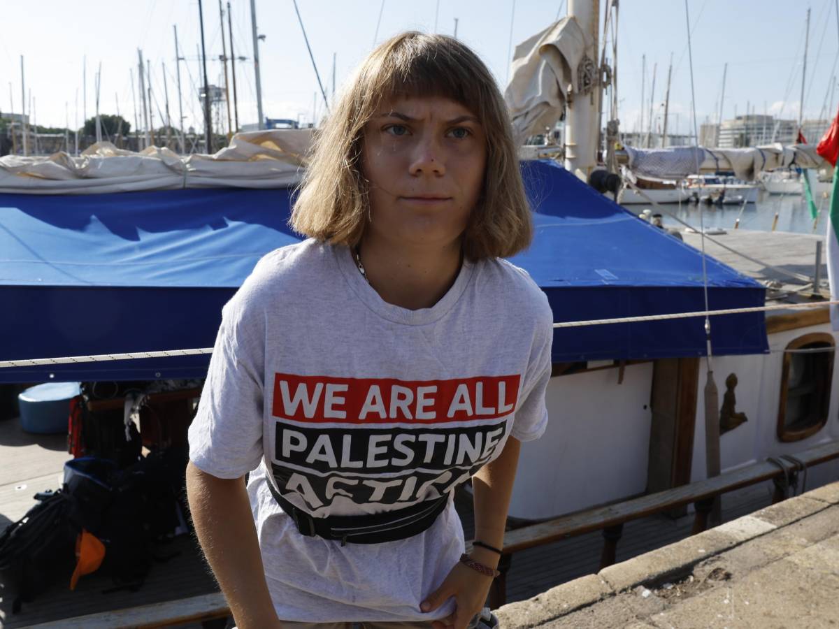 Litigi, gelosie e protagonismi. Greta Thunberg lascia il direttivo. "Si parla più di noi che di Gaza" Litigi, gelosie e protagonismi. Greta Thunberg lascia il direttivo. "Si parla più di noi che di Gaza"