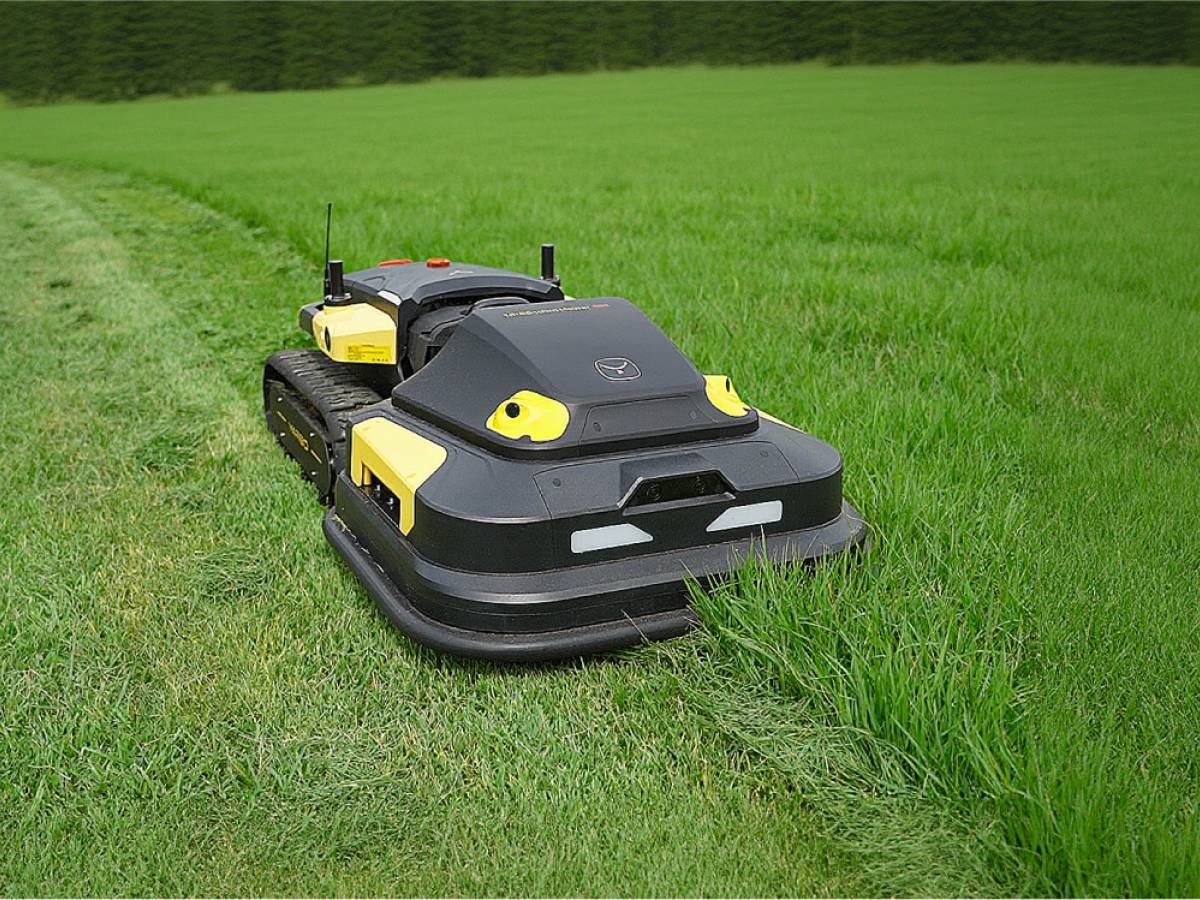 ifa 2025