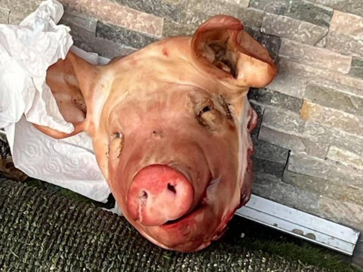 Teste di maiale davanti alle moschee di Parigi Teste di maiale davanti alle moschee di Parigi