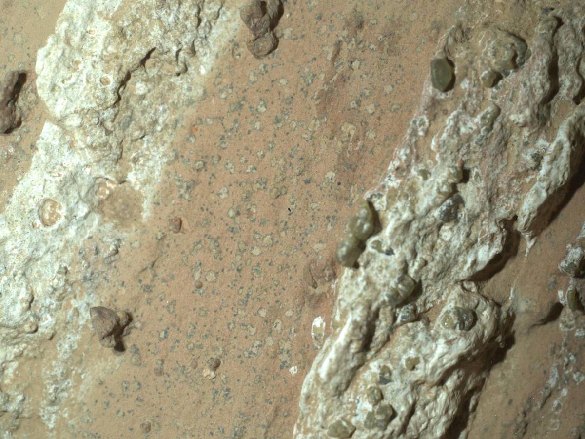 marte indizi di vita ecco cosa c8217232 davvero dietro l8217annuncio nasa da Ilgiornale.it marte indizi di vita ecco cosa c8217232 davvero dietro l8217annuncio nasa