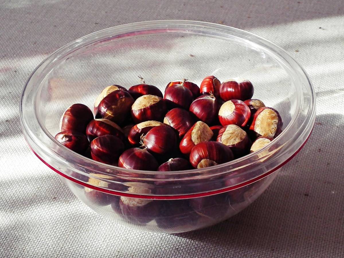 Castagne