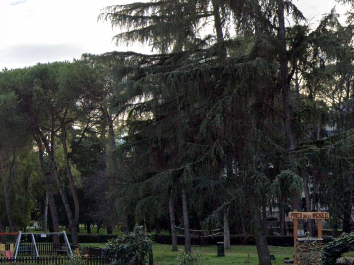 Preso a bastonate da bimbi stranieri di 7, 9 e 11 anni. La furia alla festa di compleanno