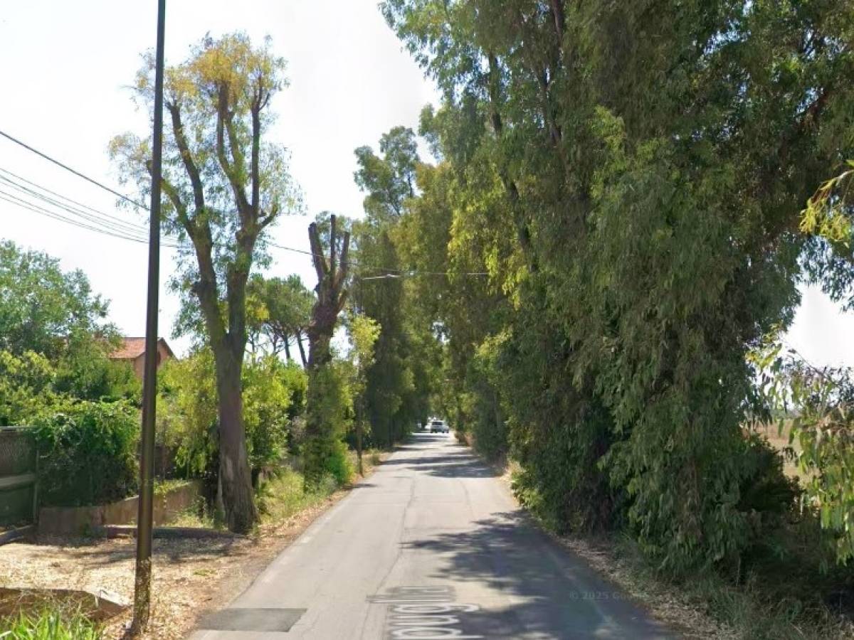 tragedia a fiumicino donna investita mentre attraversa la strada col figlio morta sul colpo