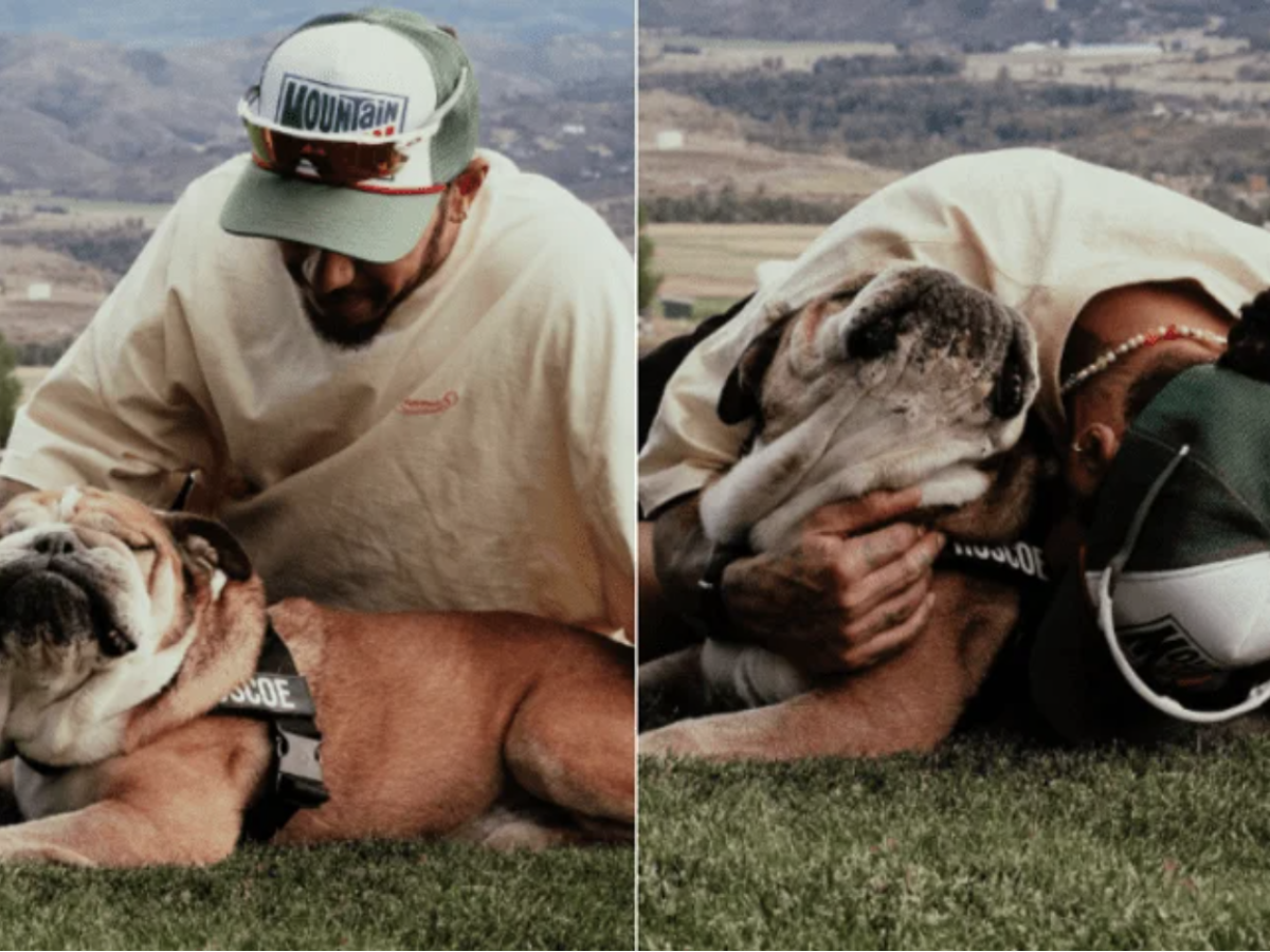 morto roscoe il cane di lewis hamilton la decisione pi249 difficile della mia vita