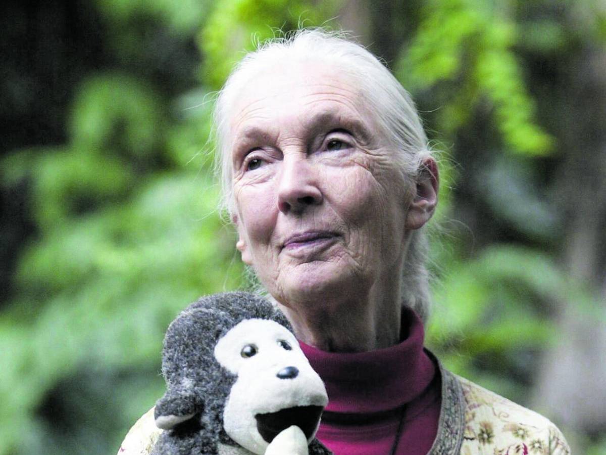 ultime parole famose ecco le interviste post mortem da Ilgiornale.it ultime parole famose ecco le interviste post mortem