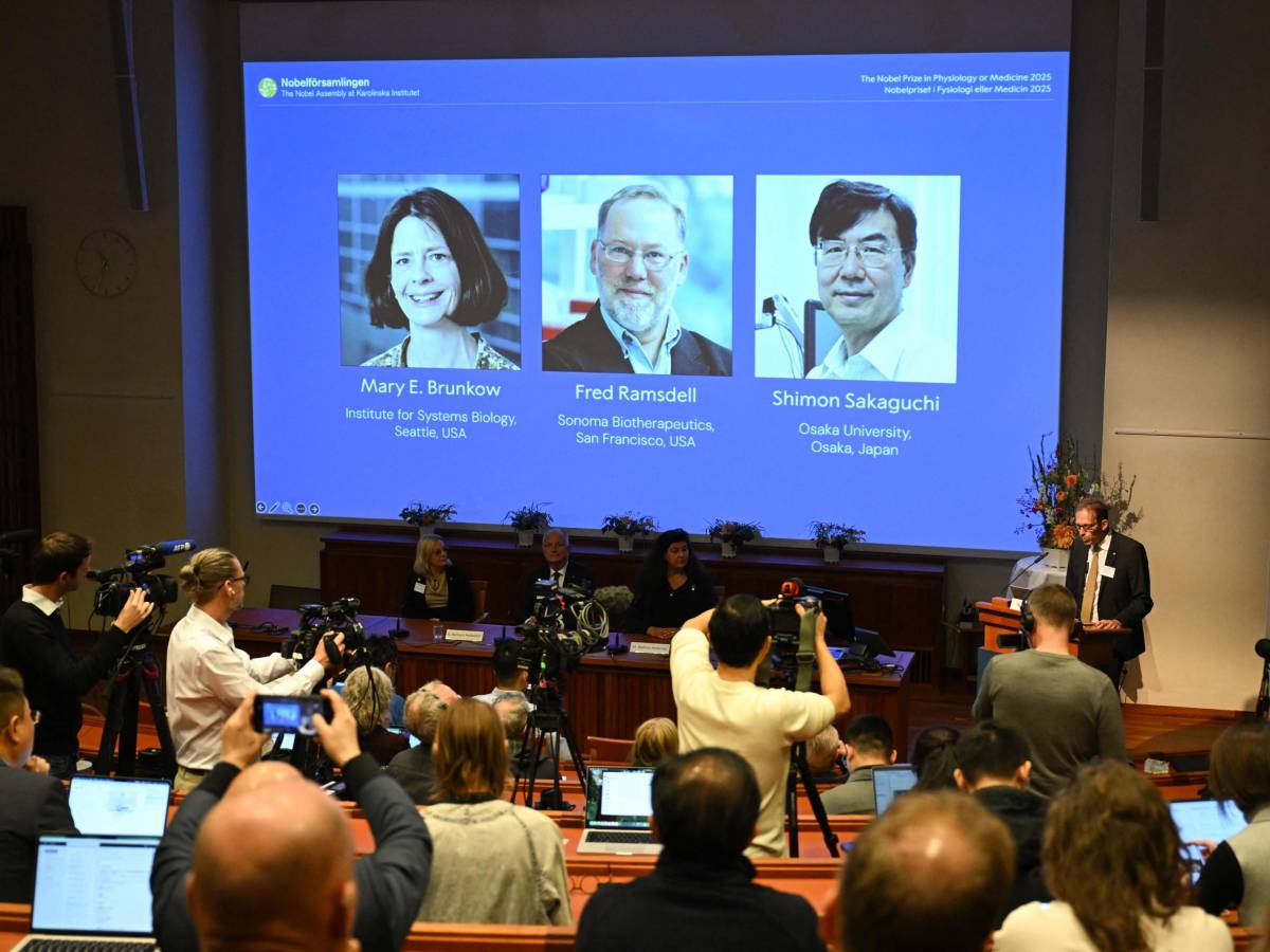 trent8217anni di studi le cellule scudo ora vincono il nobel