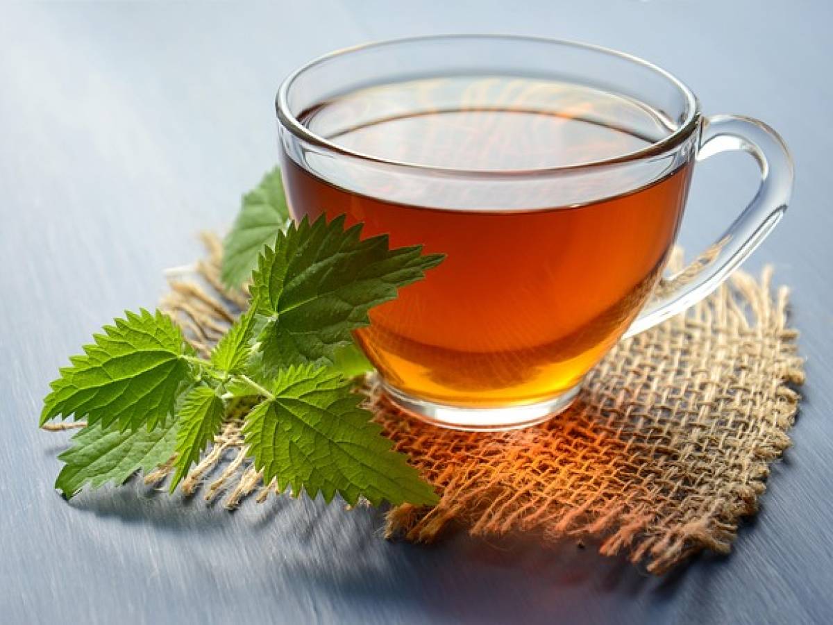 Tisane antiossidanti: perché è importante berle