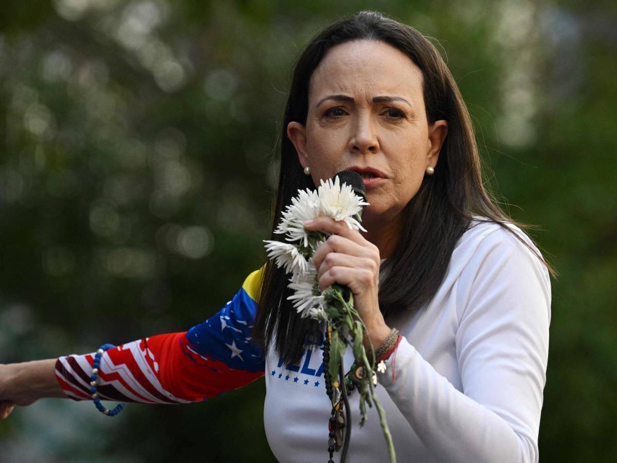 chi sono i veterani usa che hanno portato machado a oslo e che la pregano di non tornare in venezuela da Ilgiornale.it chi sono i veterani usa che hanno portato machado a oslo e che la pregano di non tornare in venezuela