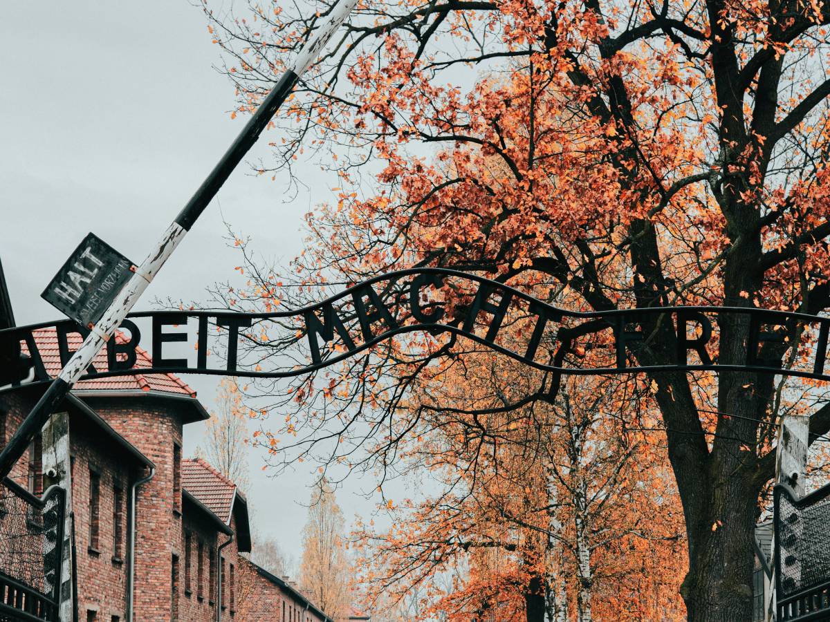 cos era il morbo k la finta malattia inventata da un medico del fatebenefratelli per evitare la deportazione agli ebrei romani da Ilgiornale.it cos era il morbo k la finta malattia inventata da un medico del fatebenefratelli per evitare la deportazione agli ebrei romani