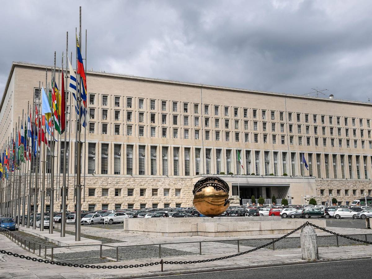 mercato di visti dal bangladesh parte il processo ai funzionari della farnesina da Ilgiornale.it mercato di visti dal bangladesh parte il processo ai funzionari della farnesina