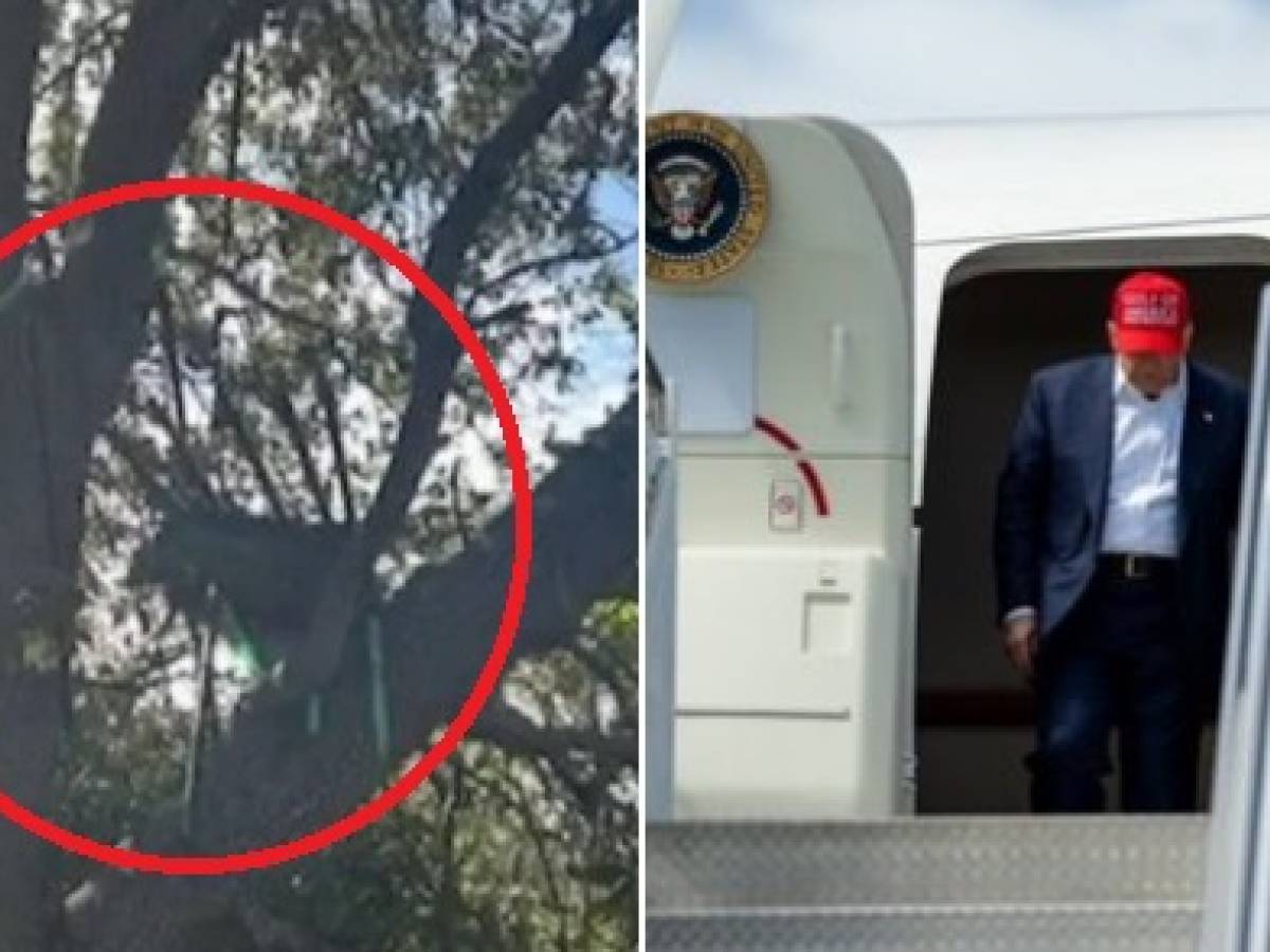 caccia sugli alberi a palm beach indaga l fbi rischio di un nuovo agguato contro trump