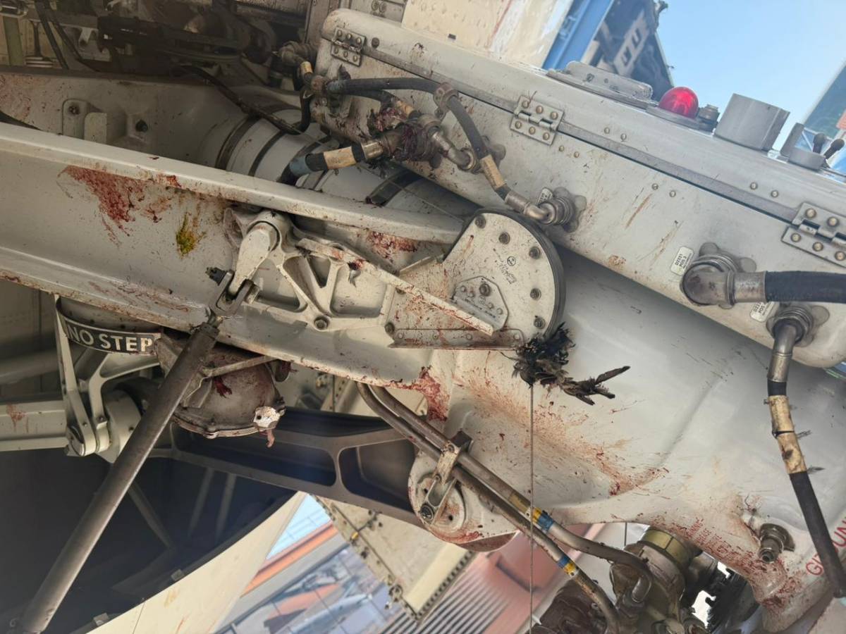 aereo investito da uno stormo di uccelli paura durante il decollo le immagini choc