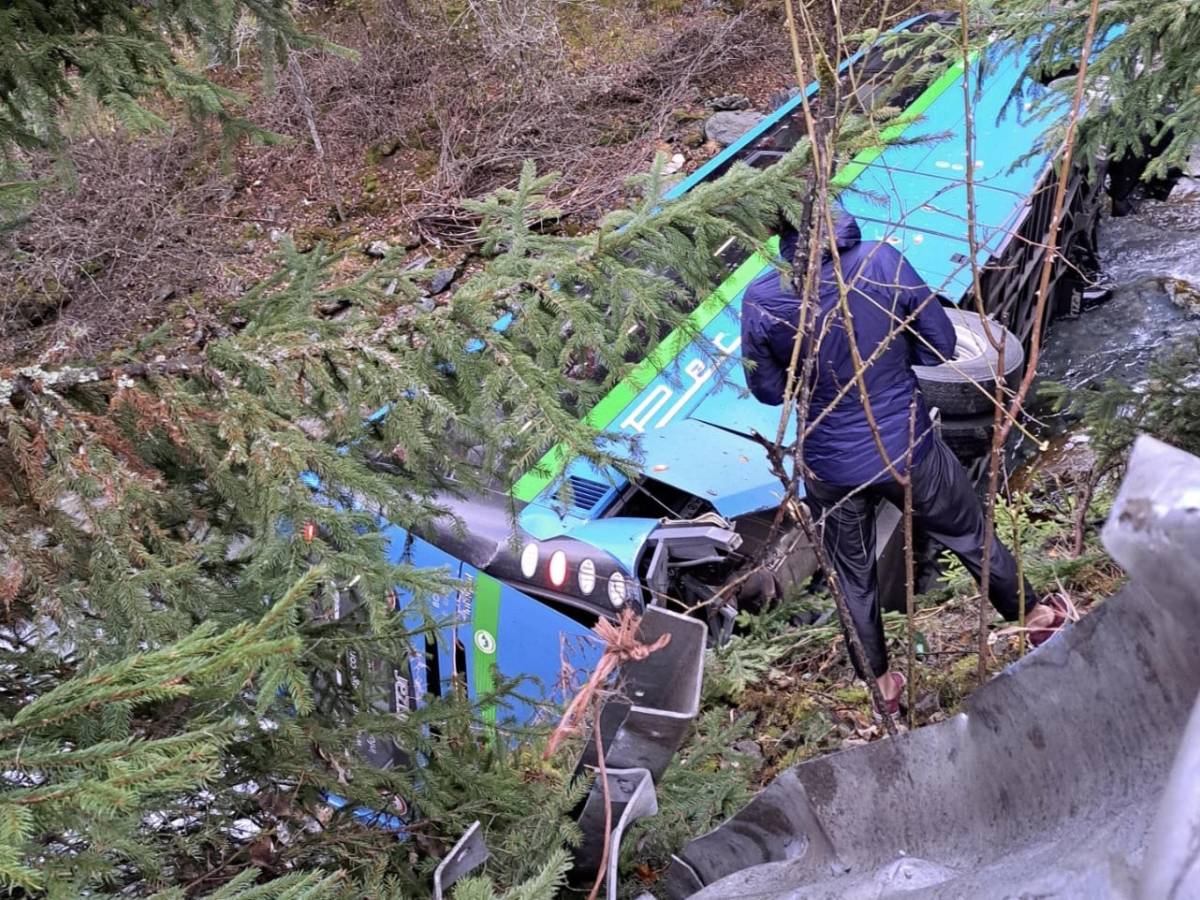 l autista ha un malore scuolabus finisce in un torrente studenti feriti da Ilgiornale.it l autista ha un malore scuolabus finisce in un torrente studenti feriti