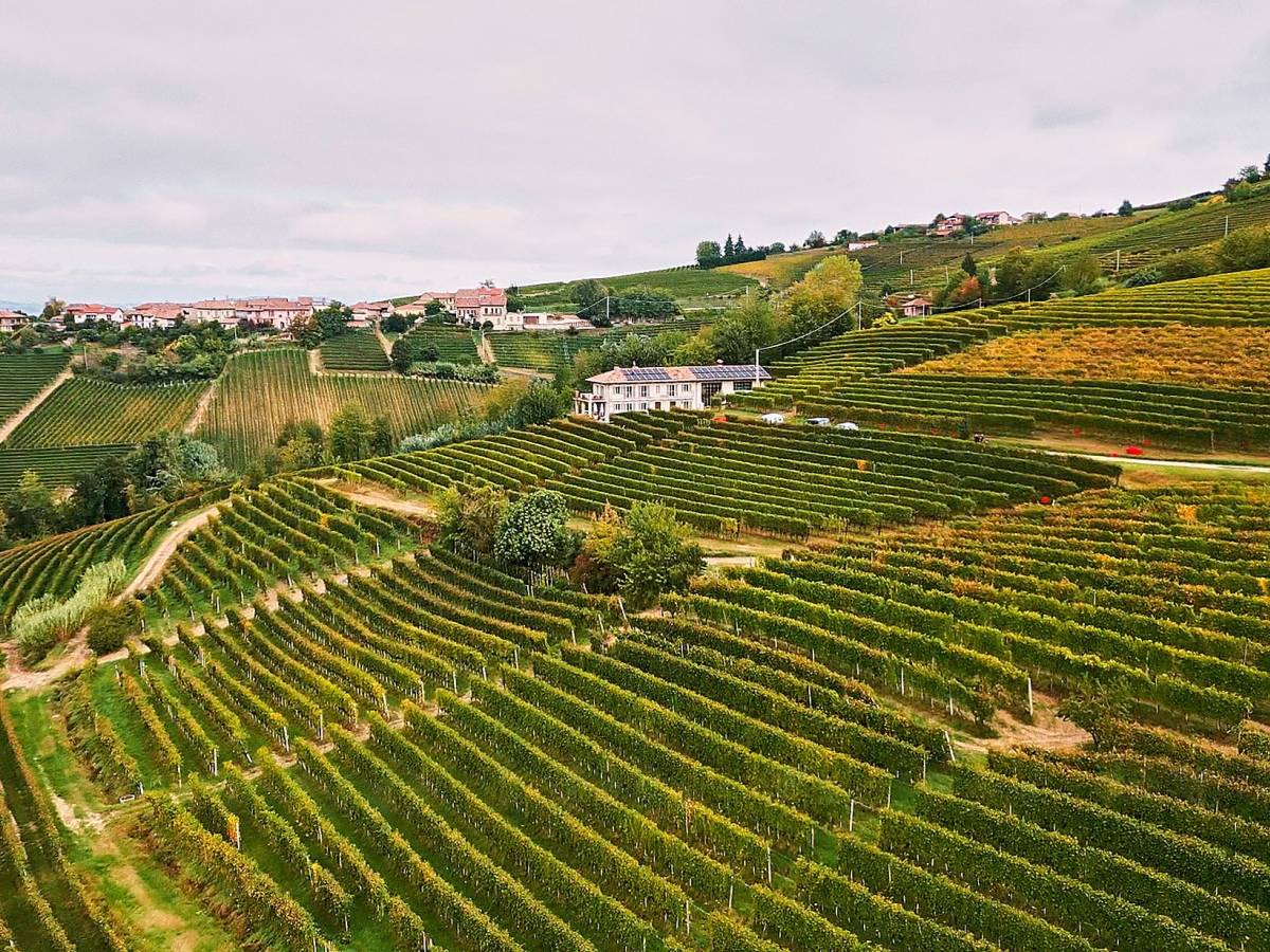 Dosio, le Langhe viste dall’alto Dosio, le Langhe viste dall’alto