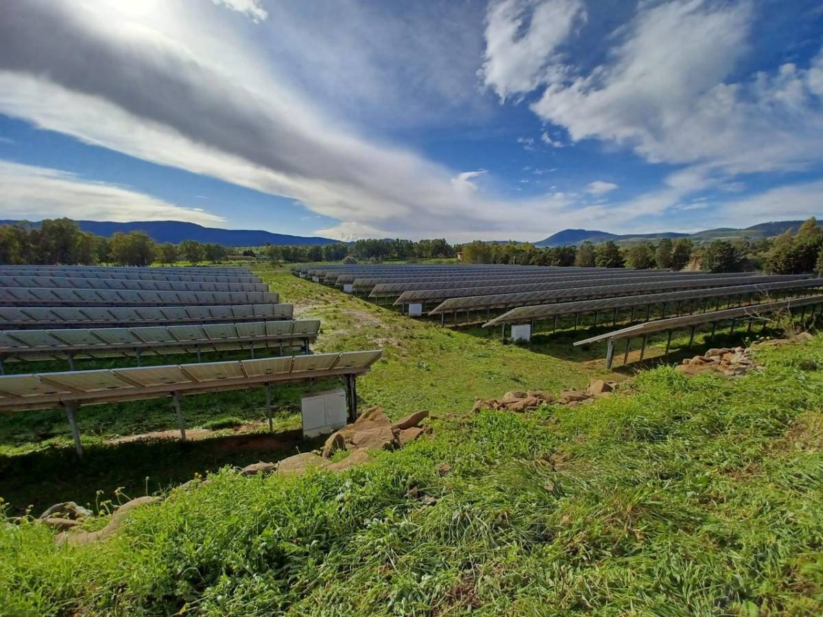 bluefield italia conclude il rifinanziamento del veicolo revive con un operazione di green financing da 115 milioni di euro da Ilgiornale.it bluefield italia conclude il rifinanziamento del veicolo revive con un operazione di green financing da 115 milioni di euro