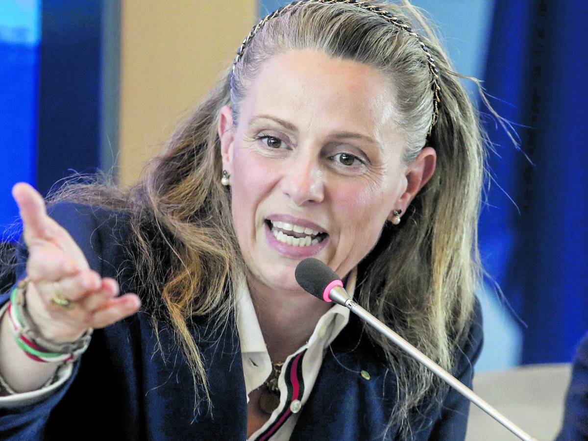 Picchi sfiduciata, tensione nel centrodestra. Ma i suoi la "blindano"