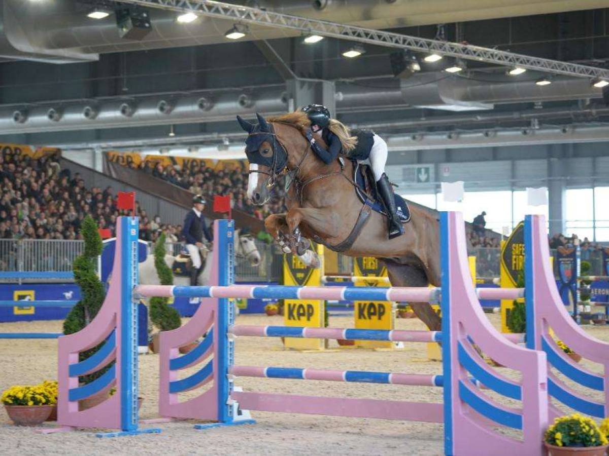 Fieracavalli di Verona si celebra la speciale affinità che lega uomo e cavallo Fieracavalli di Verona si celebra la speciale affinità che lega uomo e cavallo