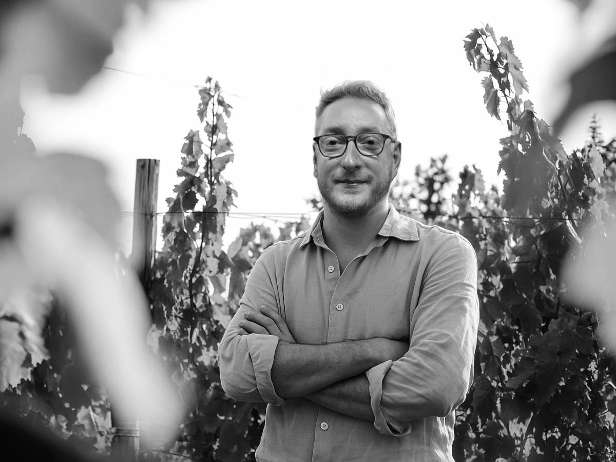 pigmento di vigna il sangiovese secondo paolo porfidio da Ilgiornale.it pigmento di vigna il sangiovese secondo paolo porfidio